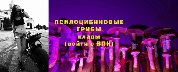 трава Каменка