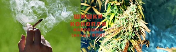 трава Каменка